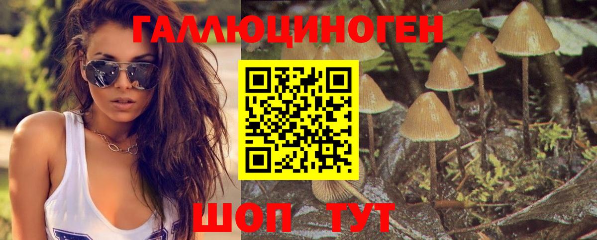 Псилоцибиновые грибы Psilocybe  Вход с VPN  Новокуйбышевск 