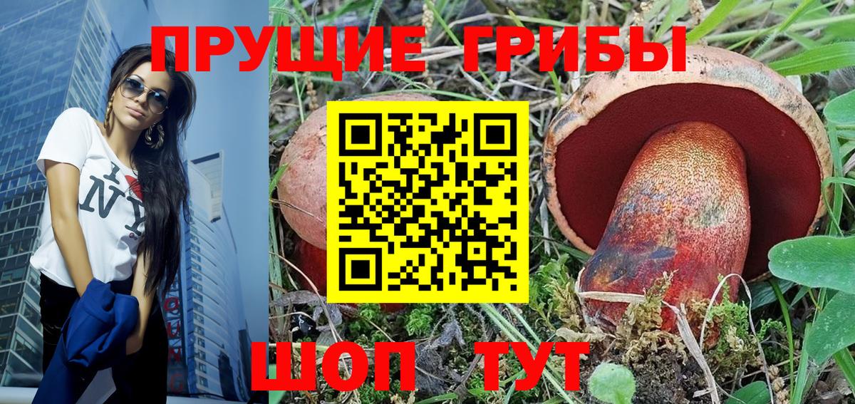 Псилоцибиновые грибы мухоморы Новокуйбышевск